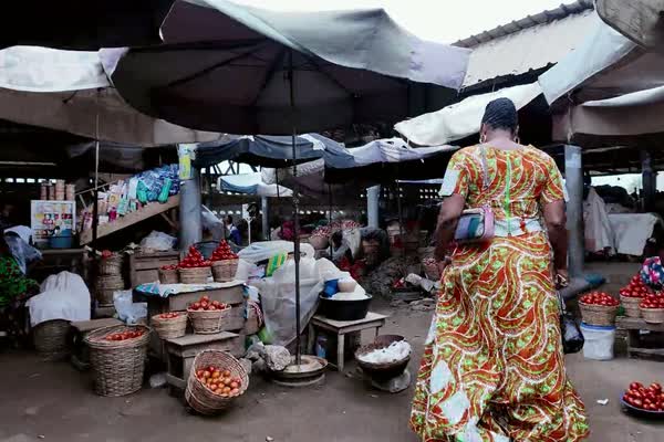 A covered market: baskets of tomatoes on wooden stands under umbrellas, a woman walking between the stalls.